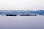 loch-awe-XIII-s.jpg - 2507 Bytes